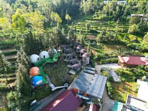 Plum Hillside lodge by sơn tinh
