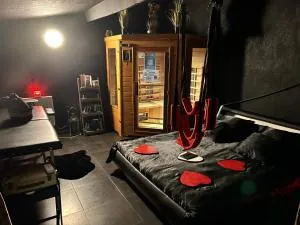 Loft 80m2 avec sauna, spa, table de massage et billard - Milhaud