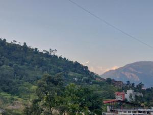 Hotel Sital & Party Palace