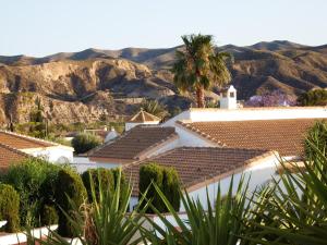 Great apartment in Arboleas