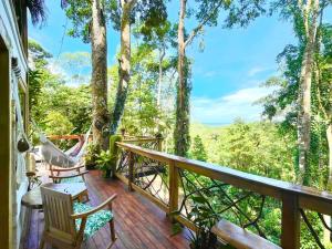 Jungle Spirit Treehouse