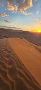 AArabian Sand Camp Empty Quater Salalah Oman