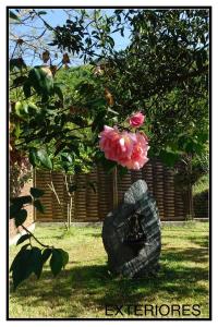 Tranquilidad y naturaleza ,Reformada en 2020