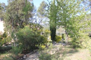 Maisons de vacances Villa Coronille calme et nature : photos des chambres
