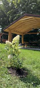 Domek w lesie Sauna i Gorąca balia Wellness&Spa