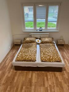 Apartmán ve městě Ostrov pro 4 osoby