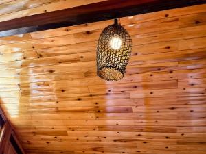 The cosy nest of happiness!