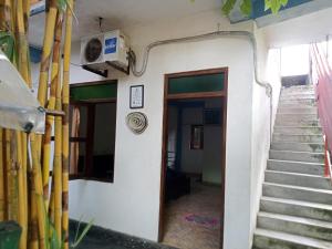 Surf and stay surf camp & school