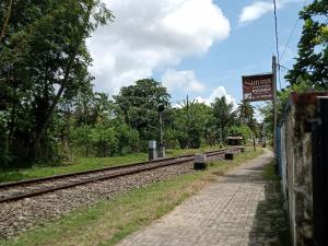 Surf and stay surf camp & school