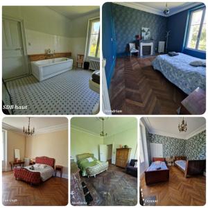 Gîte Manoir du moulin près du zoo de Beauval et les châteaux de la Loire