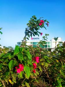 Amarina Sun Resort & Aqua Park Sharm El-Sheikh