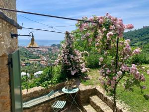 Càmamila sea view charming studio