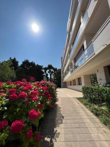 Appartements Residence de l'Hermitage, T2 avec Parking : photos des chambres