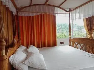 Lion Guest House - 佩勒代尼耶