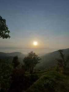 sanjivani buti organic krisi farm & resort