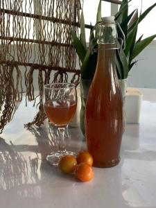 sanjivani buti organic krisi farm & resort