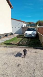 Appartements coin tranquille : photos des chambres