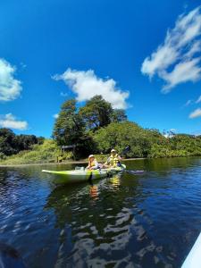 Container con opción de tina temperada