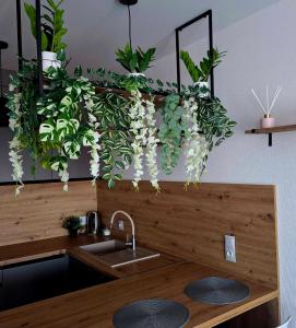 Apartament Loft Polana Szaflarska