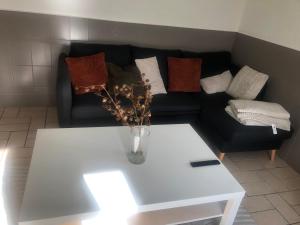 Grande maison à à Bresse avec jacuzzi cheminée et jardin Idéal pour les familles et amis