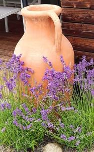 ADULTS ONLY Spa-Relax-Suite