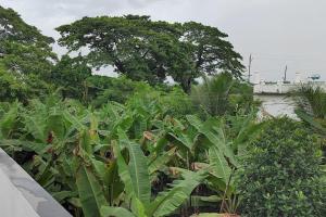 Gangi Kota East Flat