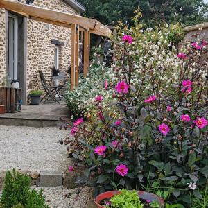 Le gîte du courtil