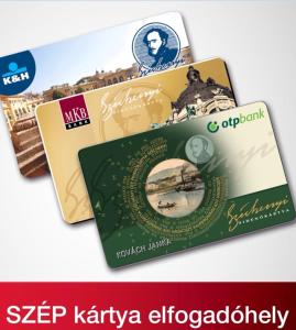 Kisfüge Apartman - Basement