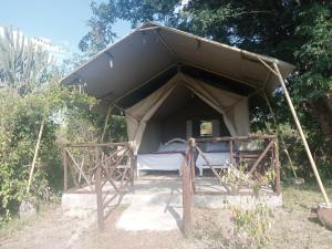 Midori mara hill safari camp