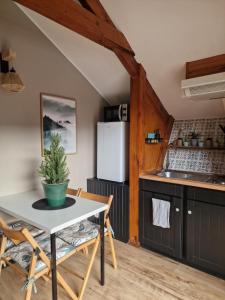 Appartements Chalet bord de lac avec piscine N2E : Appartement 1 Chambre