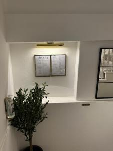 Luxury High Street Apartment