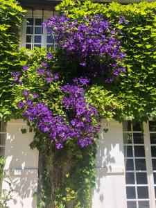 B&B / Chambres d'hotes La Chalonniere : photos des chambres