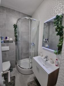 Studio Apartman Dalma