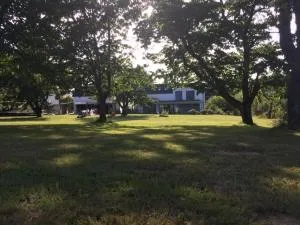 Ruheoase im Kirschblütental - Lütschenbach