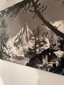 Emeraude, petit cocon proche des pistes