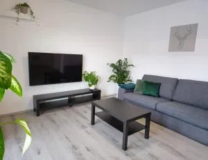 Apartman NATAL - Tešedíkovo