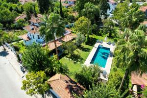 Villa Misli - red green