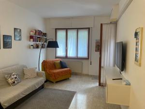 Il giardino dei limoni