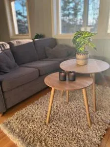 Koselig kjellerleilighet - Toverud