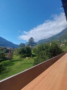 Apartment Bergblick auf Bio-Hof