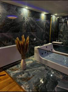 Antique Marko & SPA