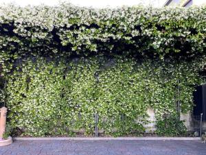 Miniappartamento Il Gelsomino