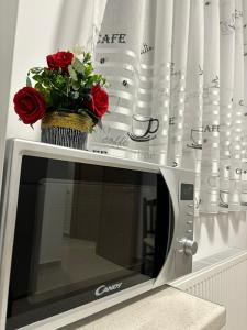 CELINE CONFORT N. D. COCEA