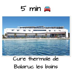 Appartements Studio zen piscine : photos des chambres