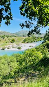 GreenZen reset space