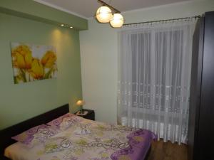 Apartament u Źródła