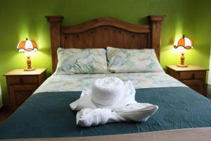 Elisa Rivera Casa Cardenal