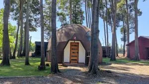 Domo Las Araucarias - El Arrayán