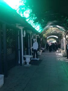 Appartement Ruines Romaines tipasa