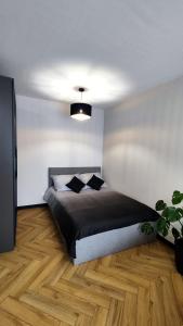 Apartament Park Chorzów, FV, bezpłatny parking, klimatyzacja